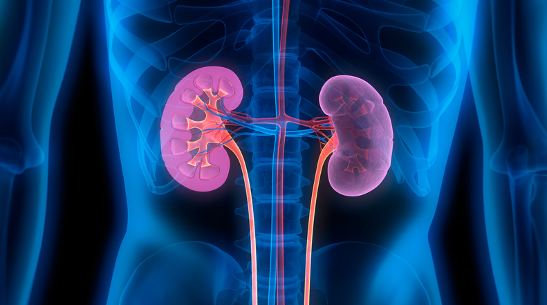 FDA Fully Approves Travere’s Kidney Medication, Intensifying Rivalry with Novartis and Calliditas