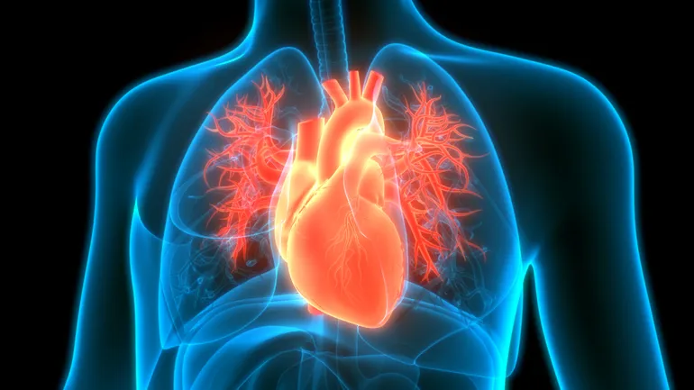 Study Discovers Limited Clinical Testing in Recalled Heart Devices