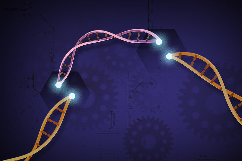 Editas Medicine Searches for Collaborator on Ex Vivo Gene-Editing Initiative, Shifts Emphasis to In Vivo Research and Development